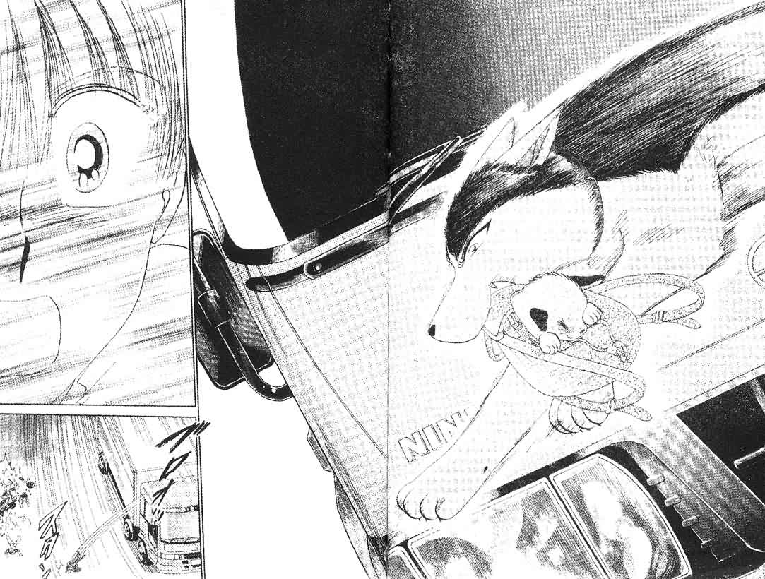 神犬阿西韩漫全集-第14卷无删减无遮挡章节图片 