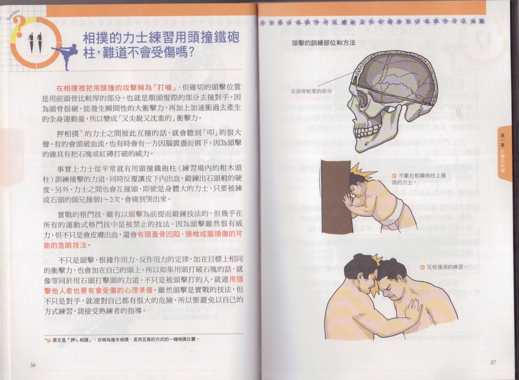 以小搏大格斗技韩漫全集-全一卷无删减无遮挡章节图片 