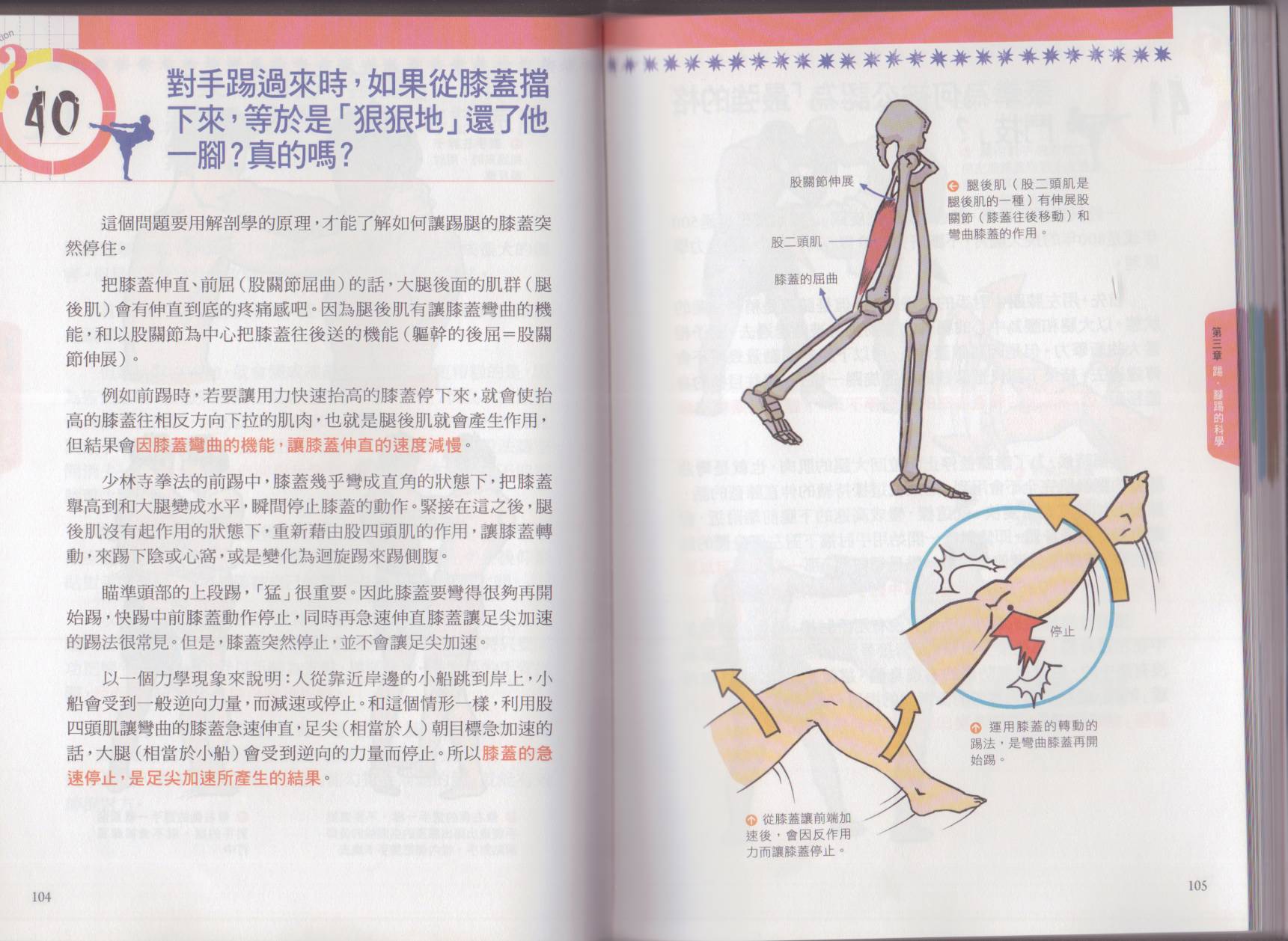 以小搏大格斗技韩漫全集-全一卷无删减无遮挡章节图片 