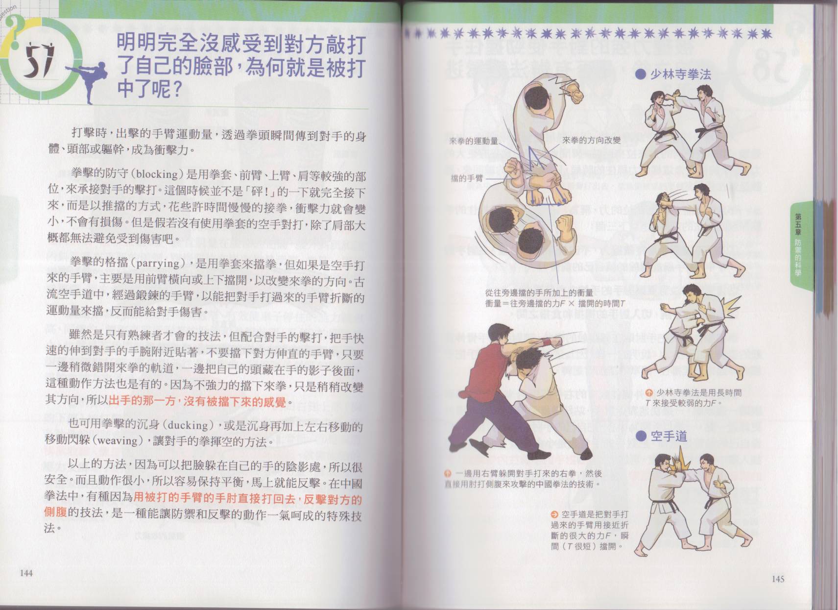 以小搏大格斗技韩漫全集-全一卷无删减无遮挡章节图片 