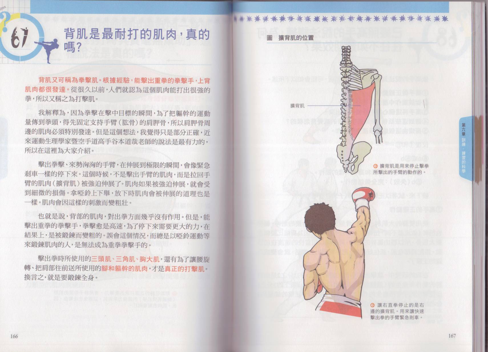 以小搏大格斗技韩漫全集-全一卷无删减无遮挡章节图片 