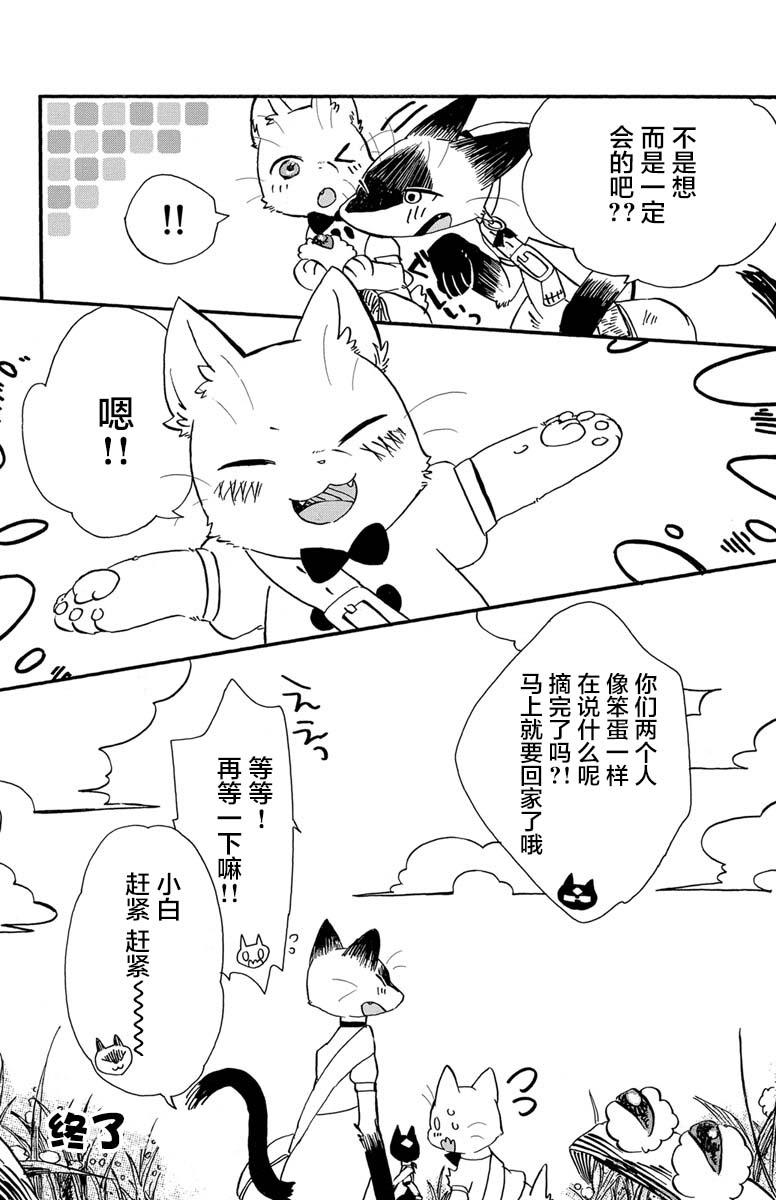 黑白猫咪幻想曲韩漫全集-第01话(1)无删减无遮挡章节图片 