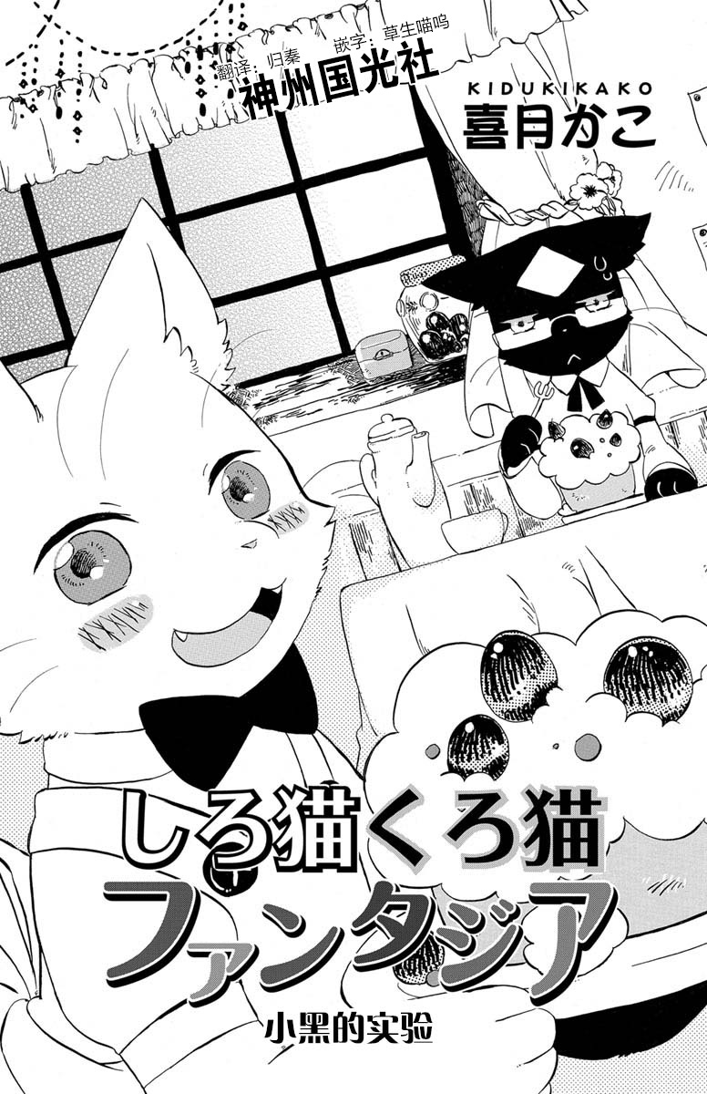 黑白猫咪幻想曲韩漫全集-第1.3话无删减无遮挡章节图片 