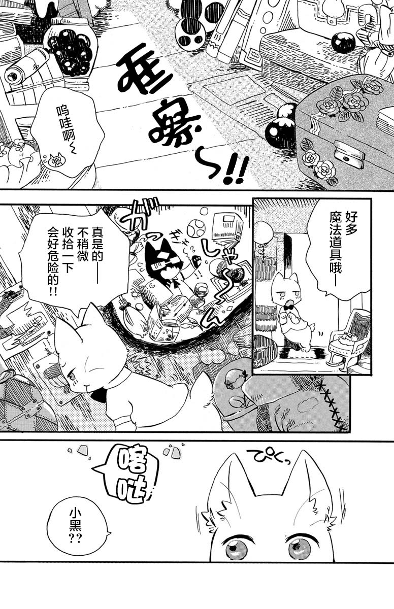 黑白猫咪幻想曲韩漫全集-第1.3话无删减无遮挡章节图片 