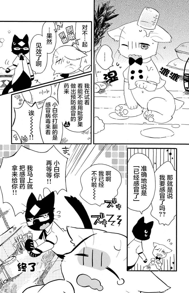 黑白猫咪幻想曲韩漫全集-第1.3话无删减无遮挡章节图片 