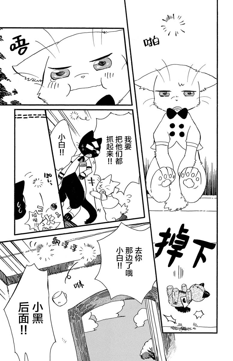 黑白猫咪幻想曲韩漫全集-第1.4话无删减无遮挡章节图片 