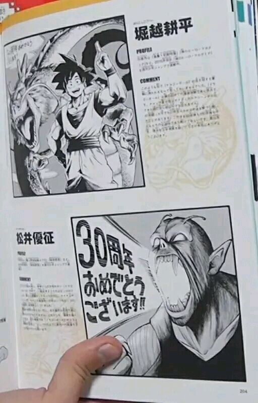 龙珠超韩漫全集-史集30周年贺图无删减无遮挡章节图片 