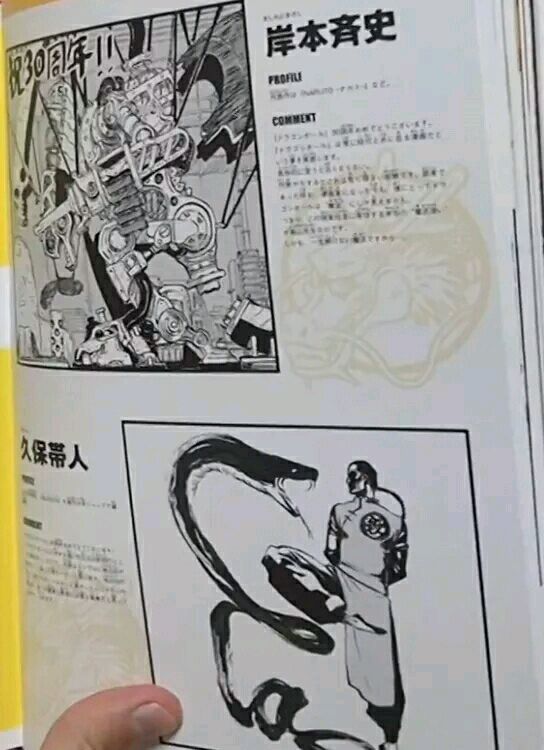龙珠超韩漫全集-史集30周年贺图无删减无遮挡章节图片 