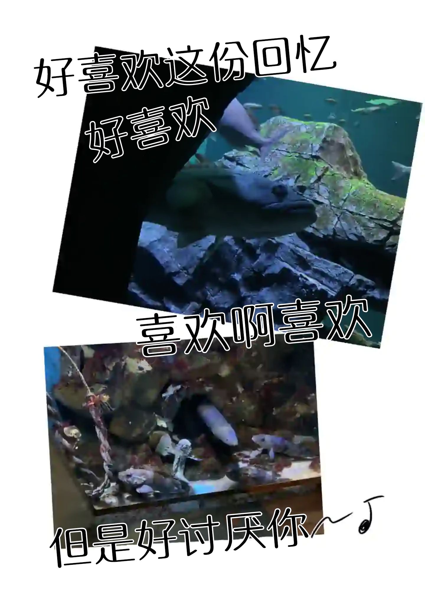 灰色兼职：逃亡禁止韩漫全集-第24话无删减无遮挡章节图片 