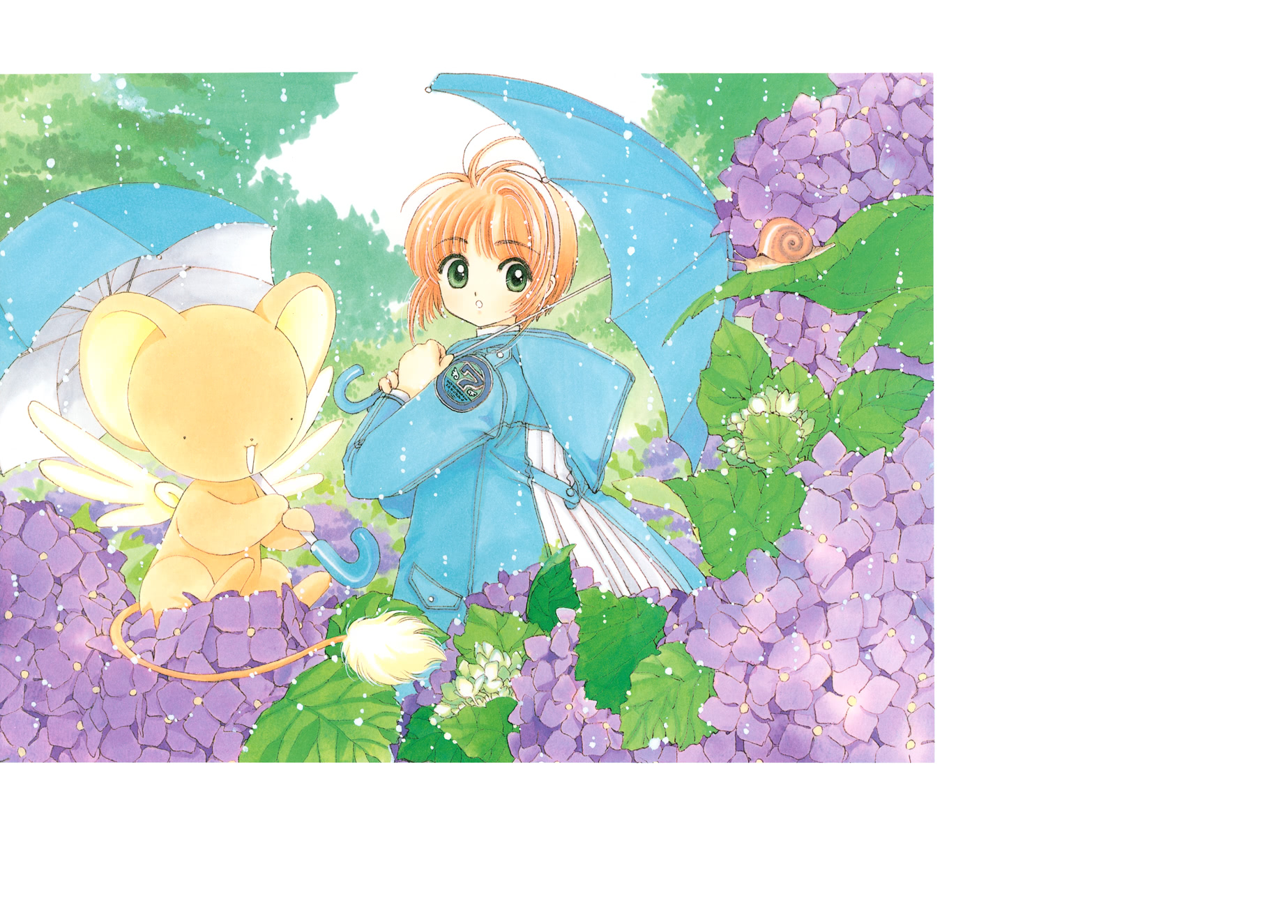 魔卡少女樱原画集韩漫全集-原画集01无删减无遮挡章节图片 