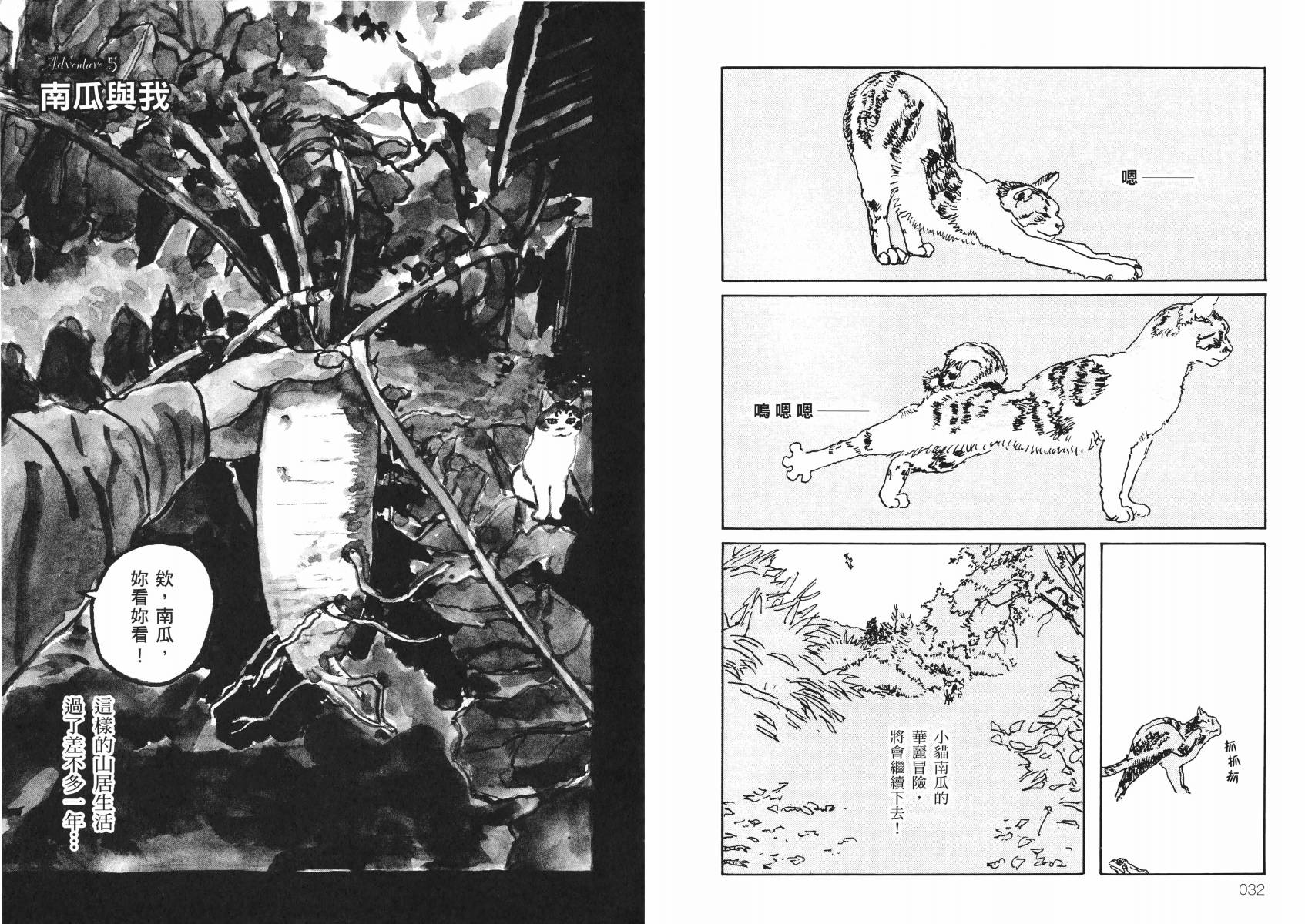 南瓜与我的野放生活韩漫全集-全一卷无删减无遮挡章节图片 
