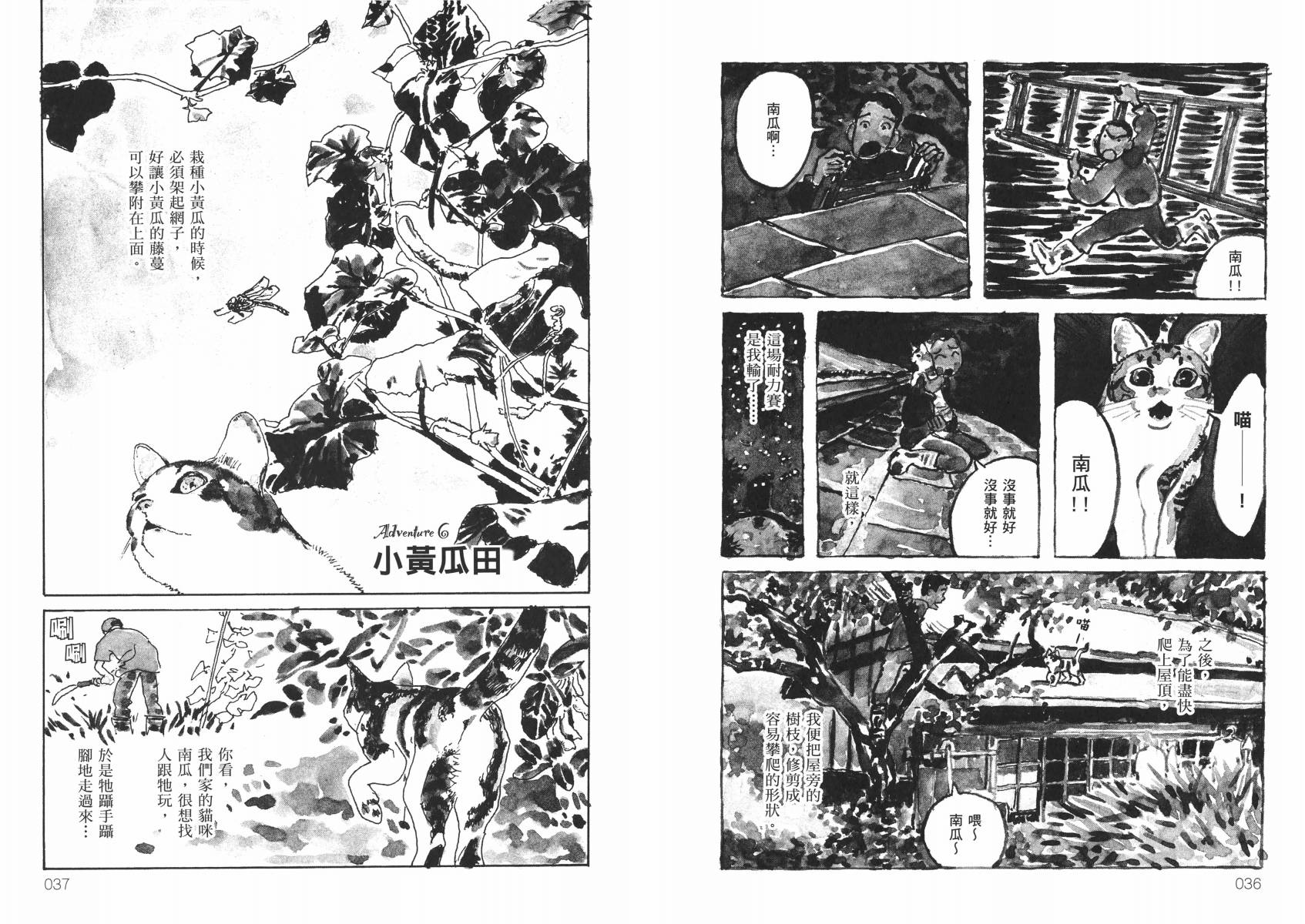 南瓜与我的野放生活韩漫全集-全一卷无删减无遮挡章节图片 