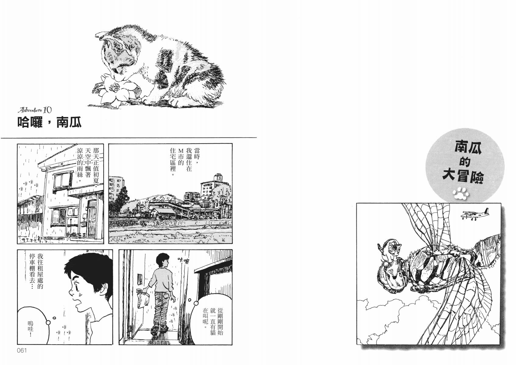 南瓜与我的野放生活韩漫全集-全一卷无删减无遮挡章节图片 