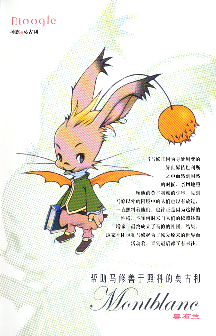 最终幻想战略版公式设定资料集韩漫全集-全一卷无删减无遮挡章节图片 