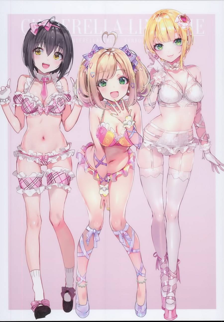 (C93)CINDERELLA LINGERIE韩漫全集-(C93)画集无删减无遮挡章节图片 
