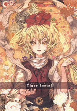 Tiger Install