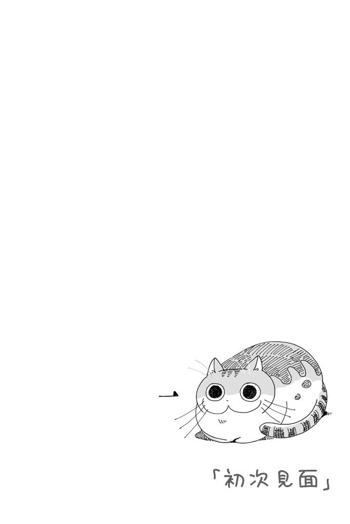 关于养猫我一直是新手韩漫全集-第01话无删减无遮挡章节图片 