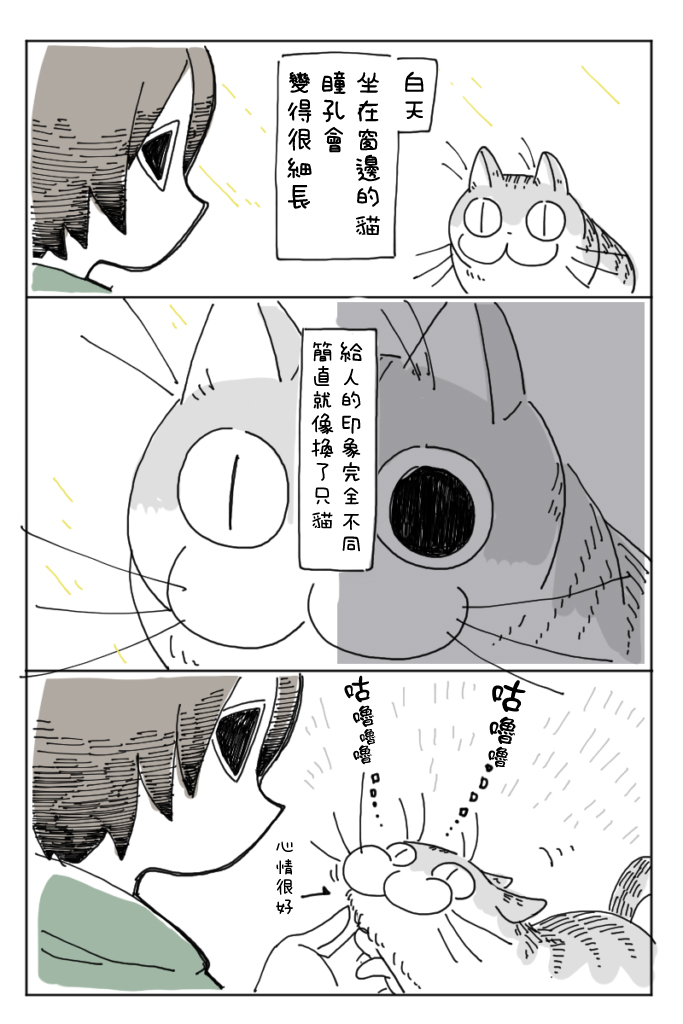 关于养猫我一直是新手韩漫全集-第03话无删减无遮挡章节图片 