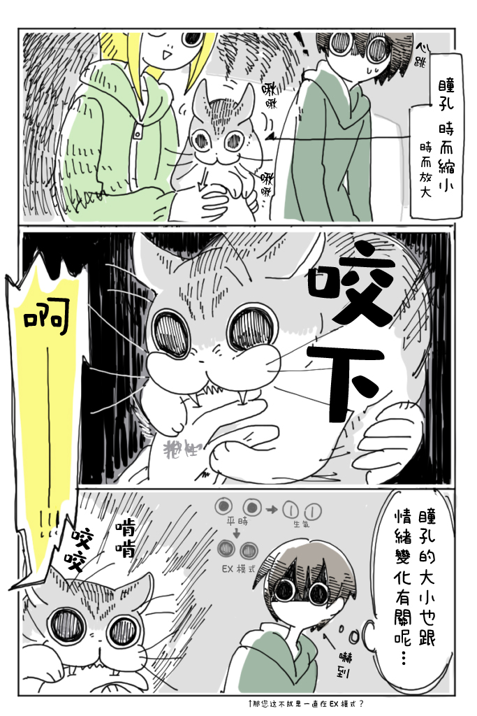 关于养猫我一直是新手韩漫全集-第03话无删减无遮挡章节图片 
