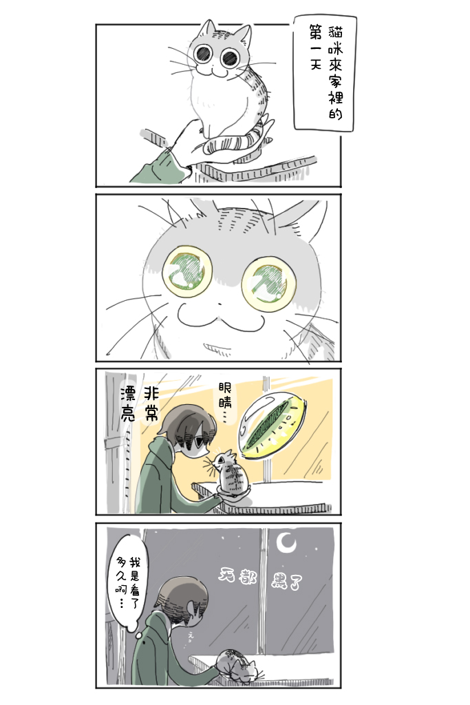 关于养猫我一直是新手韩漫全集-第03话无删减无遮挡章节图片 
