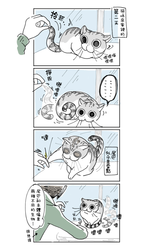 关于养猫我一直是新手韩漫全集-第03话无删减无遮挡章节图片 
