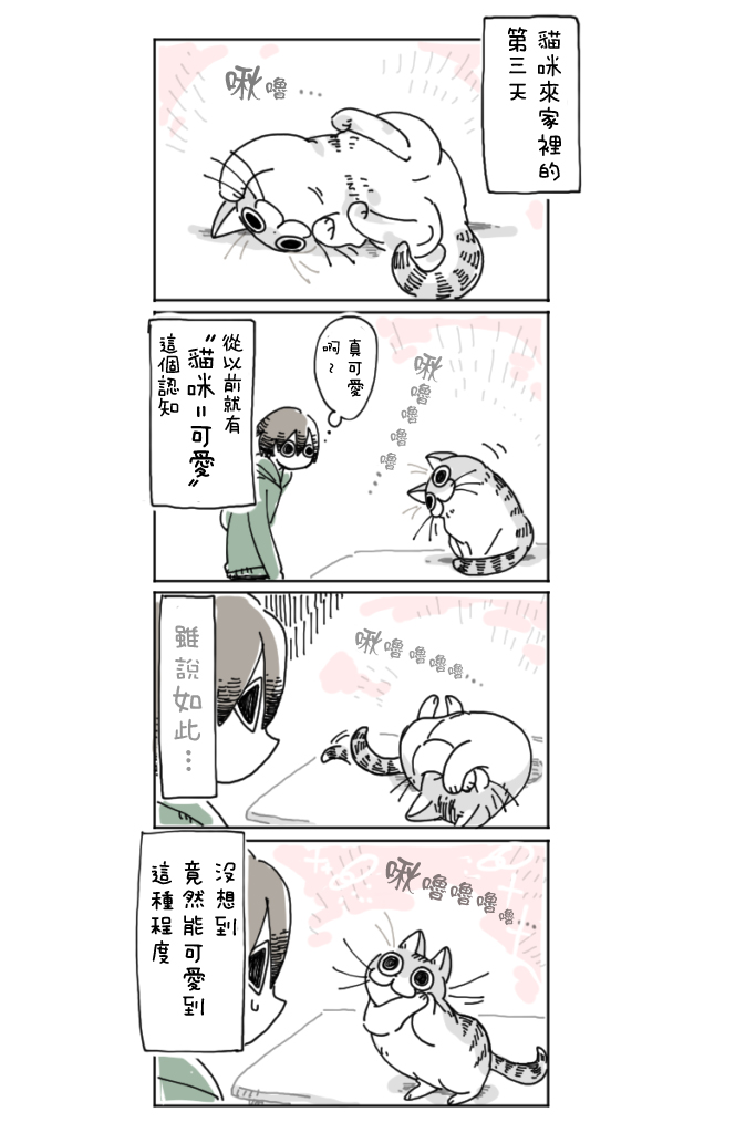 关于养猫我一直是新手韩漫全集-第03话无删减无遮挡章节图片 