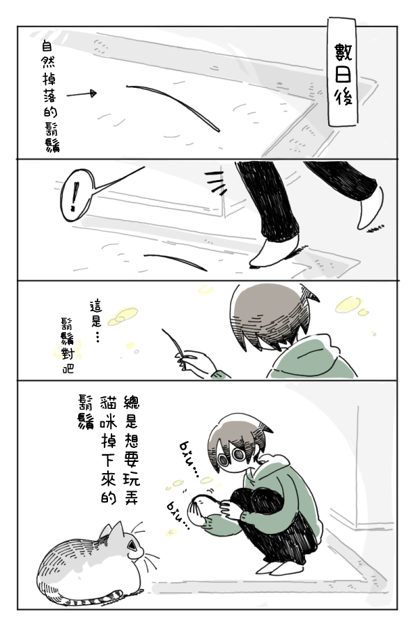 关于养猫我一直是新手韩漫全集-第04话无删减无遮挡章节图片 