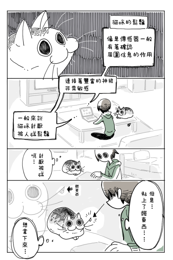关于养猫我一直是新手韩漫全集-第04话无删减无遮挡章节图片 