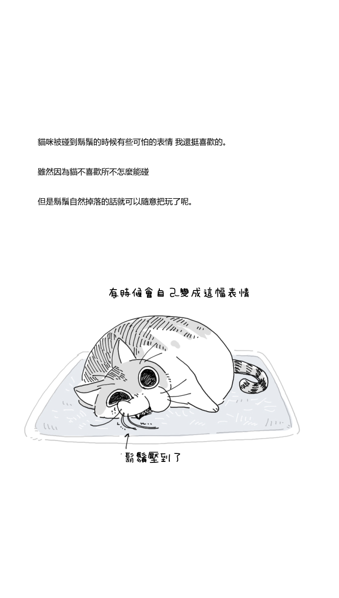 关于养猫我一直是新手韩漫全集-第04话无删减无遮挡章节图片 