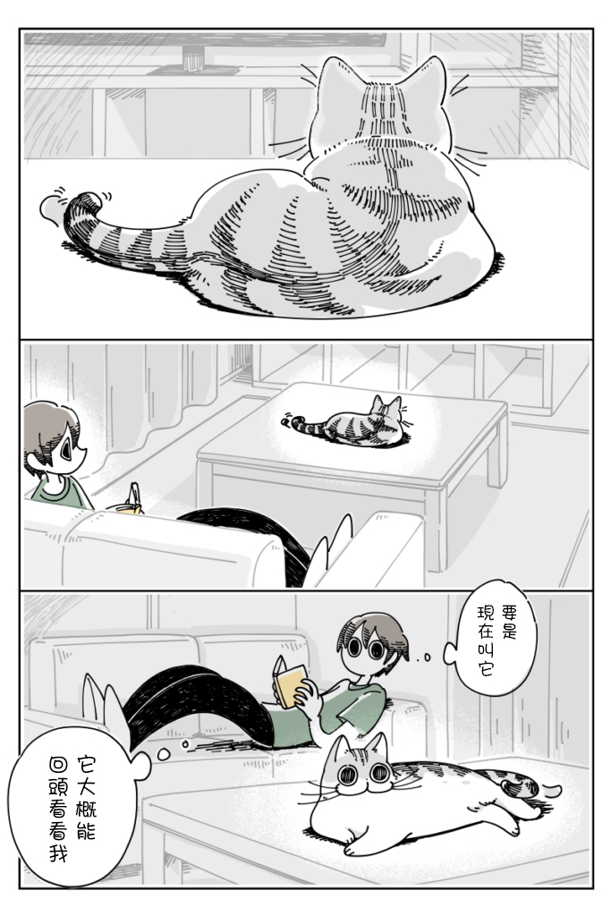 关于养猫我一直是新手韩漫全集-第19话无删减无遮挡章节图片 