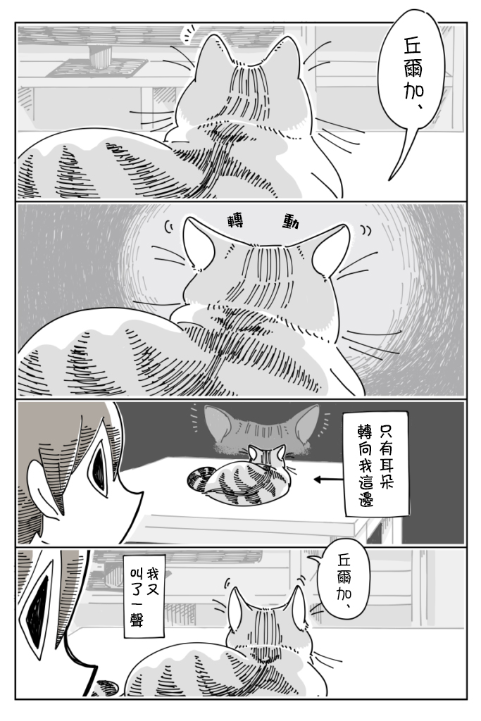关于养猫我一直是新手韩漫全集-第19话无删减无遮挡章节图片 
