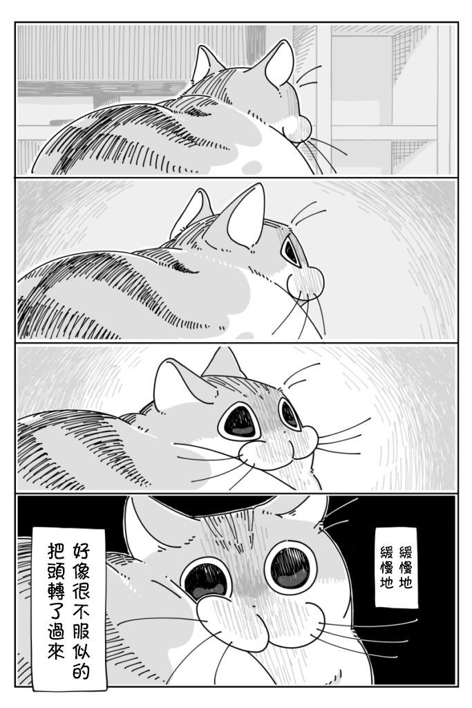 关于养猫我一直是新手韩漫全集-第19话无删减无遮挡章节图片 