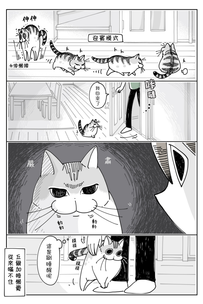 关于养猫我一直是新手韩漫全集-第20话无删减无遮挡章节图片 