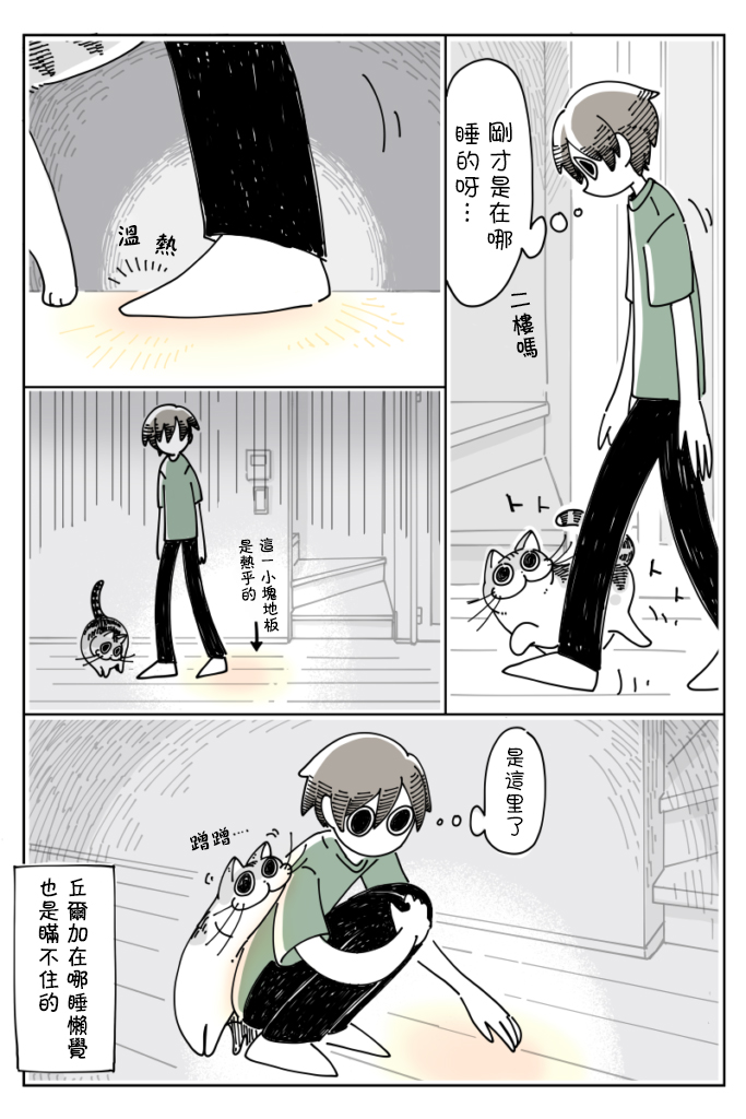 关于养猫我一直是新手韩漫全集-第20话无删减无遮挡章节图片 