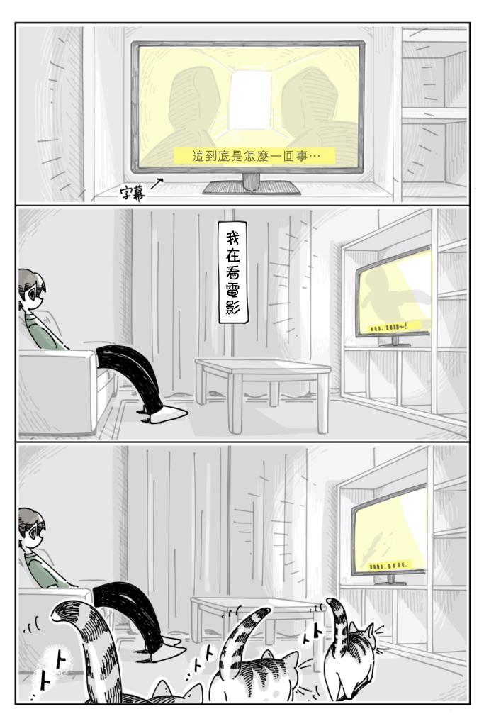 关于养猫我一直是新手韩漫全集-第21话无删减无遮挡章节图片 