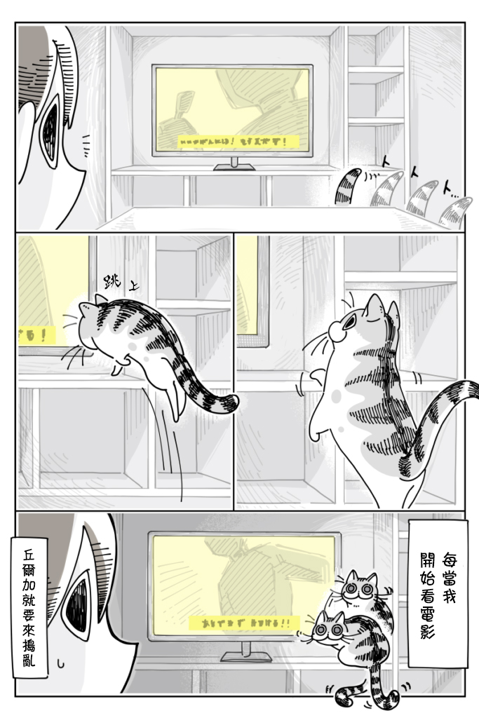关于养猫我一直是新手韩漫全集-第21话无删减无遮挡章节图片 