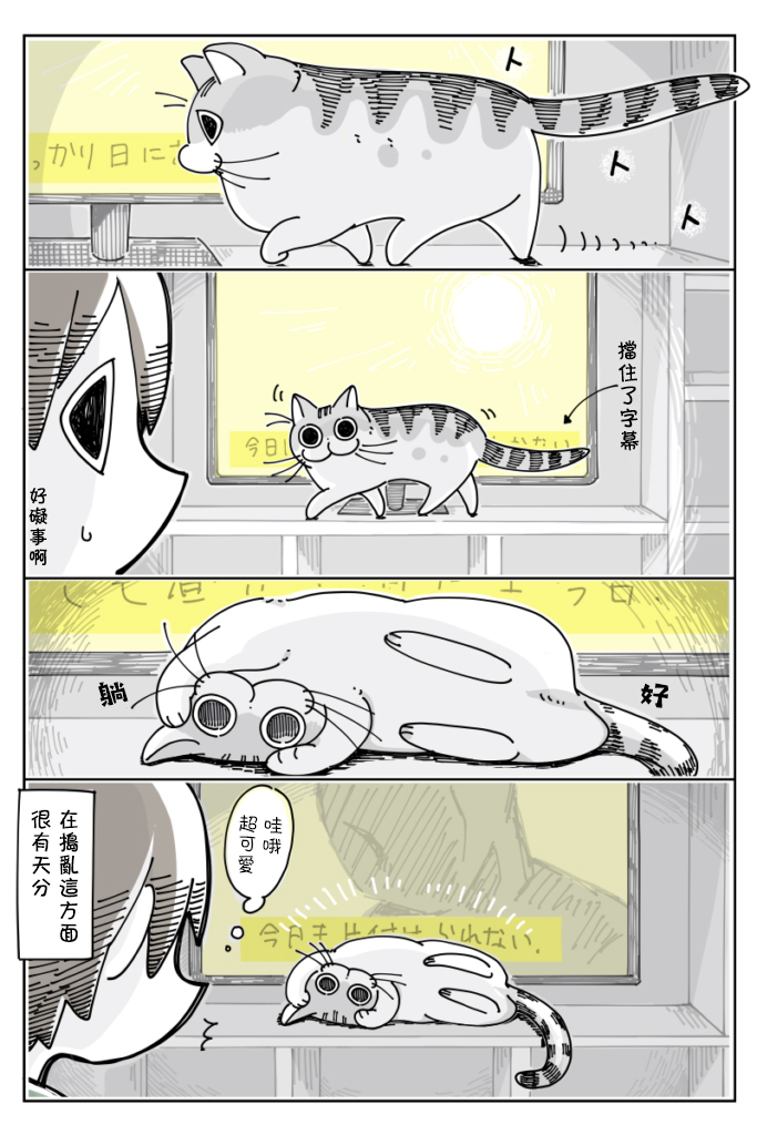 关于养猫我一直是新手韩漫全集-第21话无删减无遮挡章节图片 