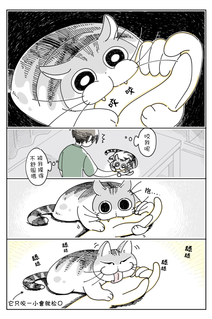 关于养猫我一直是新手韩漫全集-第22话无删减无遮挡章节图片 
