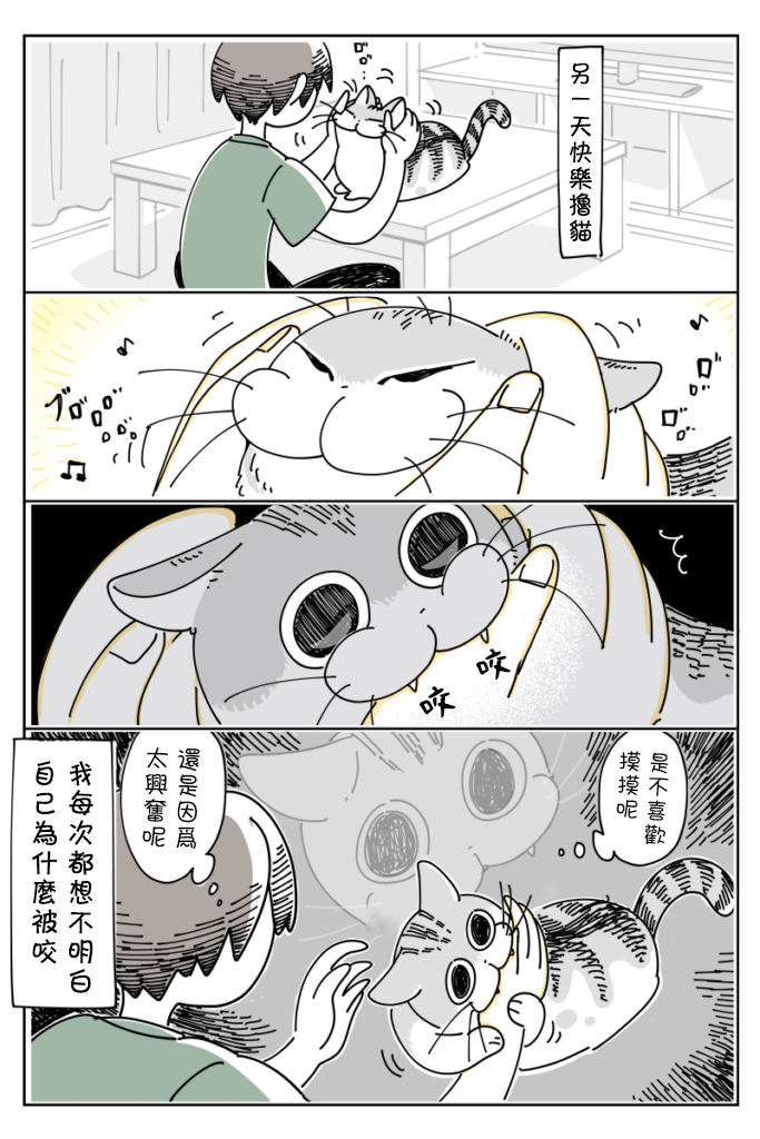 关于养猫我一直是新手韩漫全集-第22话无删减无遮挡章节图片 