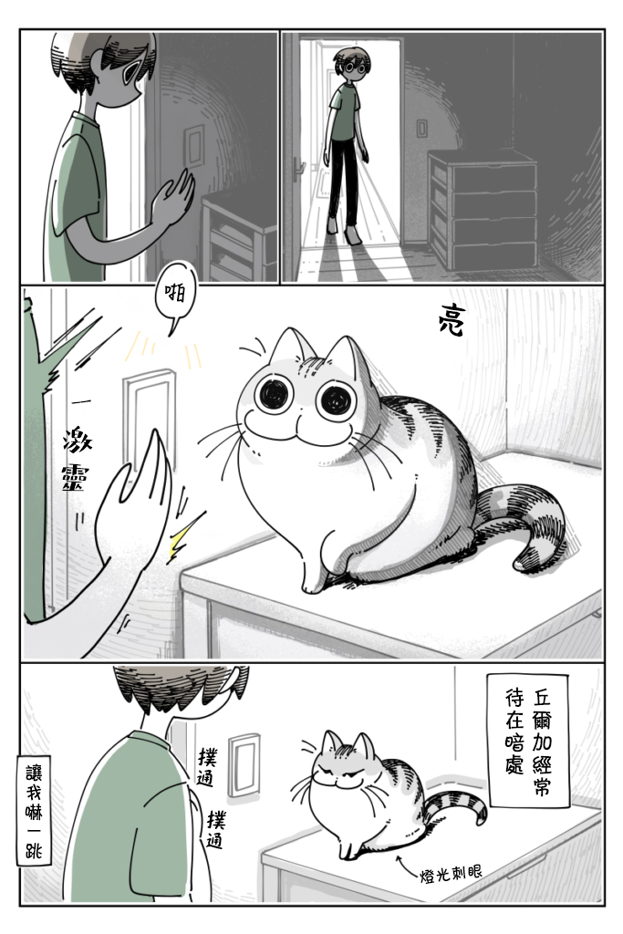 关于养猫我一直是新手韩漫全集-第24话无删减无遮挡章节图片 