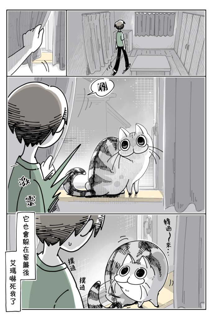 关于养猫我一直是新手韩漫全集-第24话无删减无遮挡章节图片 