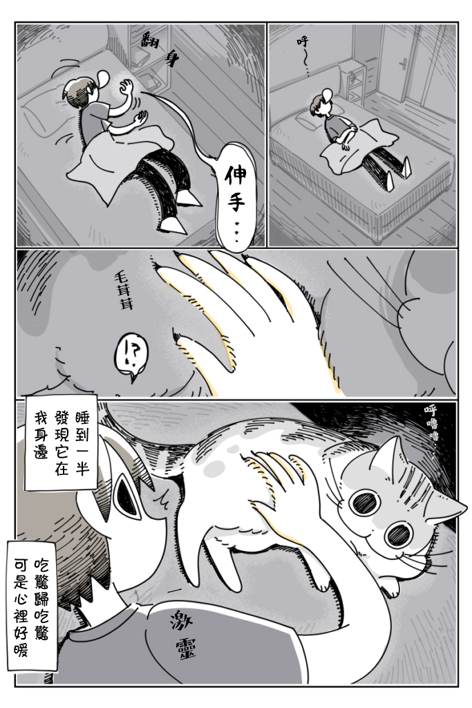 关于养猫我一直是新手韩漫全集-第24话无删减无遮挡章节图片 