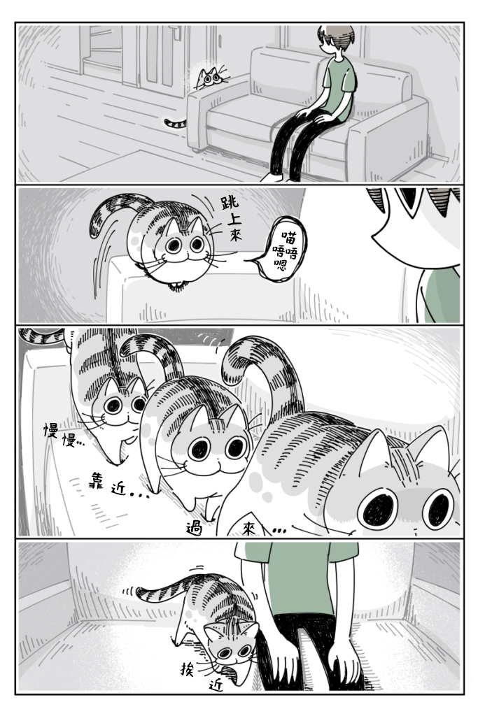 关于养猫我一直是新手韩漫全集-第25话无删减无遮挡章节图片 