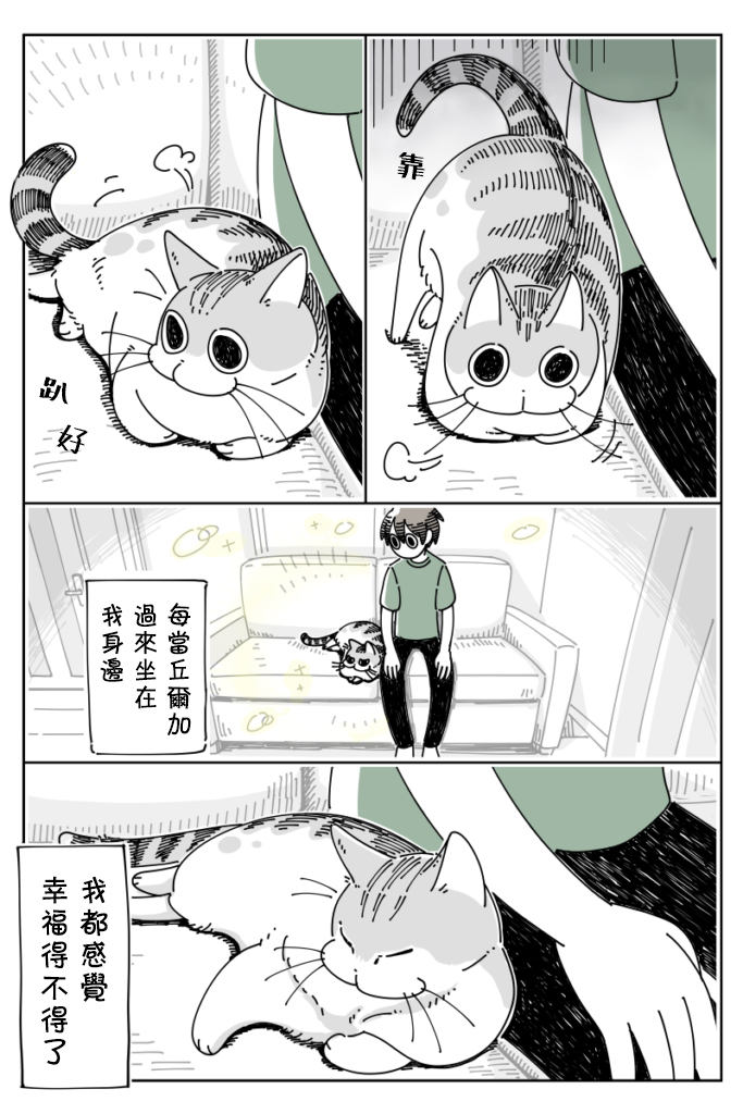 关于养猫我一直是新手韩漫全集-第25话无删减无遮挡章节图片 