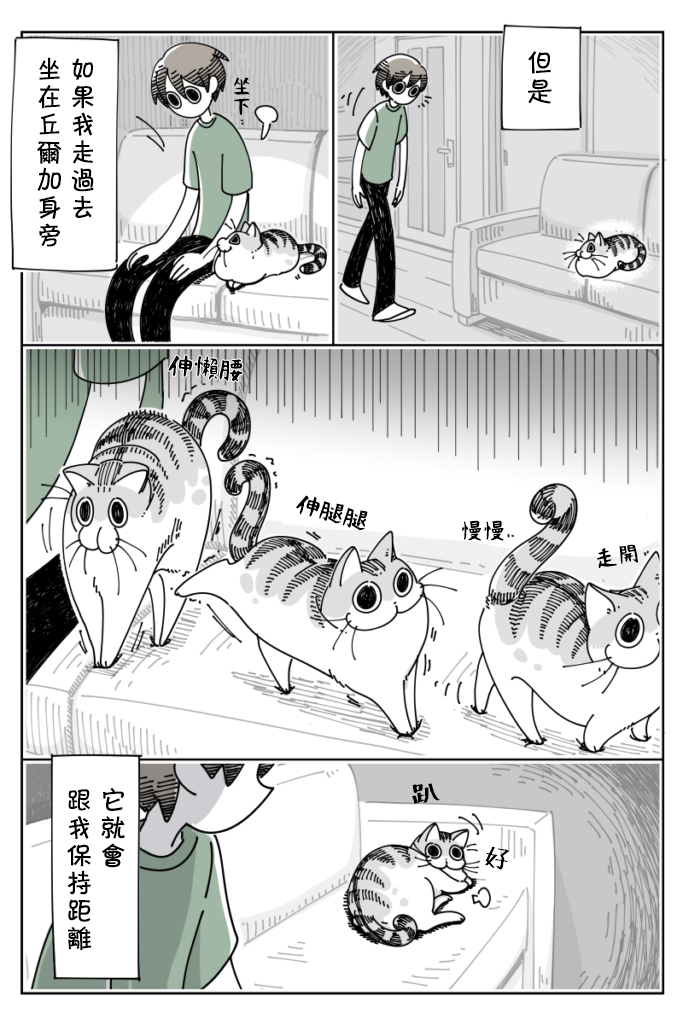 关于养猫我一直是新手韩漫全集-第25话无删减无遮挡章节图片 