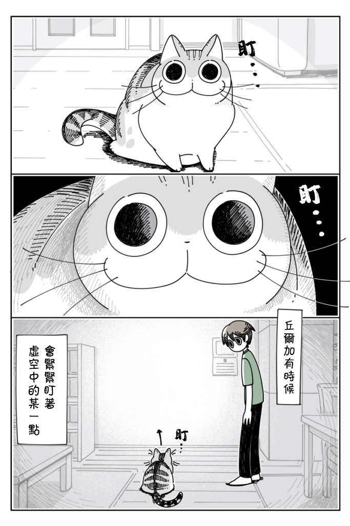 关于养猫我一直是新手韩漫全集-第26话无删减无遮挡章节图片 