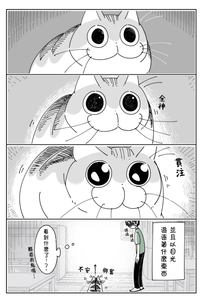 关于养猫我一直是新手韩漫全集-第26话无删减无遮挡章节图片 