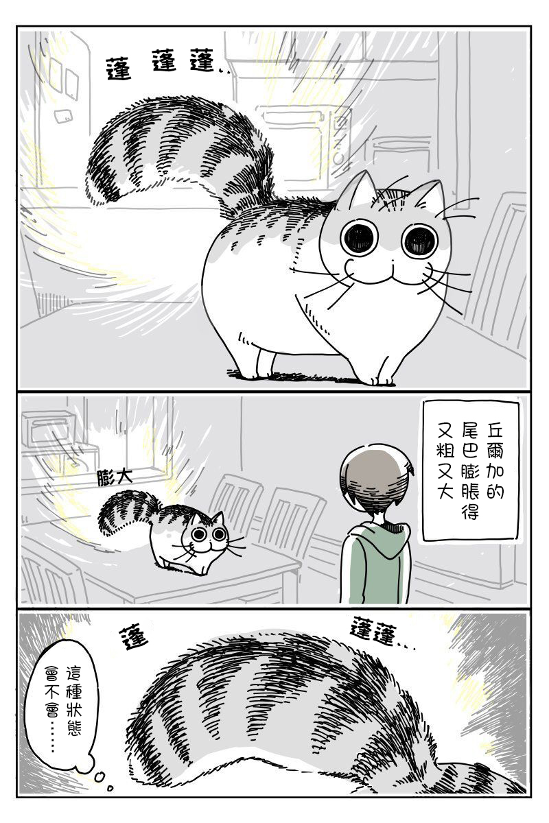 关于养猫我一直是新手韩漫全集-第06话无删减无遮挡章节图片 