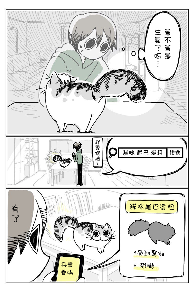 关于养猫我一直是新手韩漫全集-第06话无删减无遮挡章节图片 