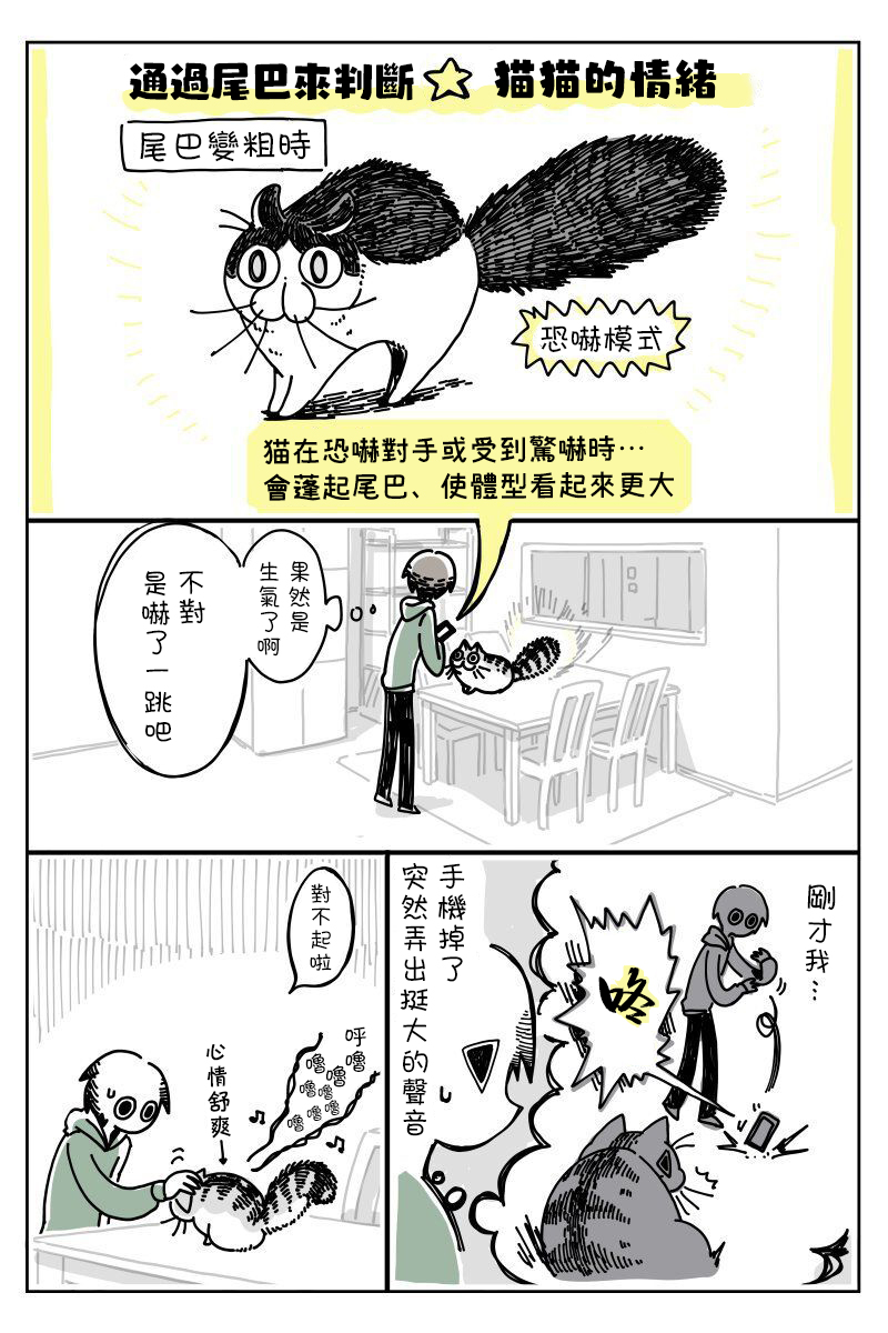 关于养猫我一直是新手韩漫全集-第06话无删减无遮挡章节图片 